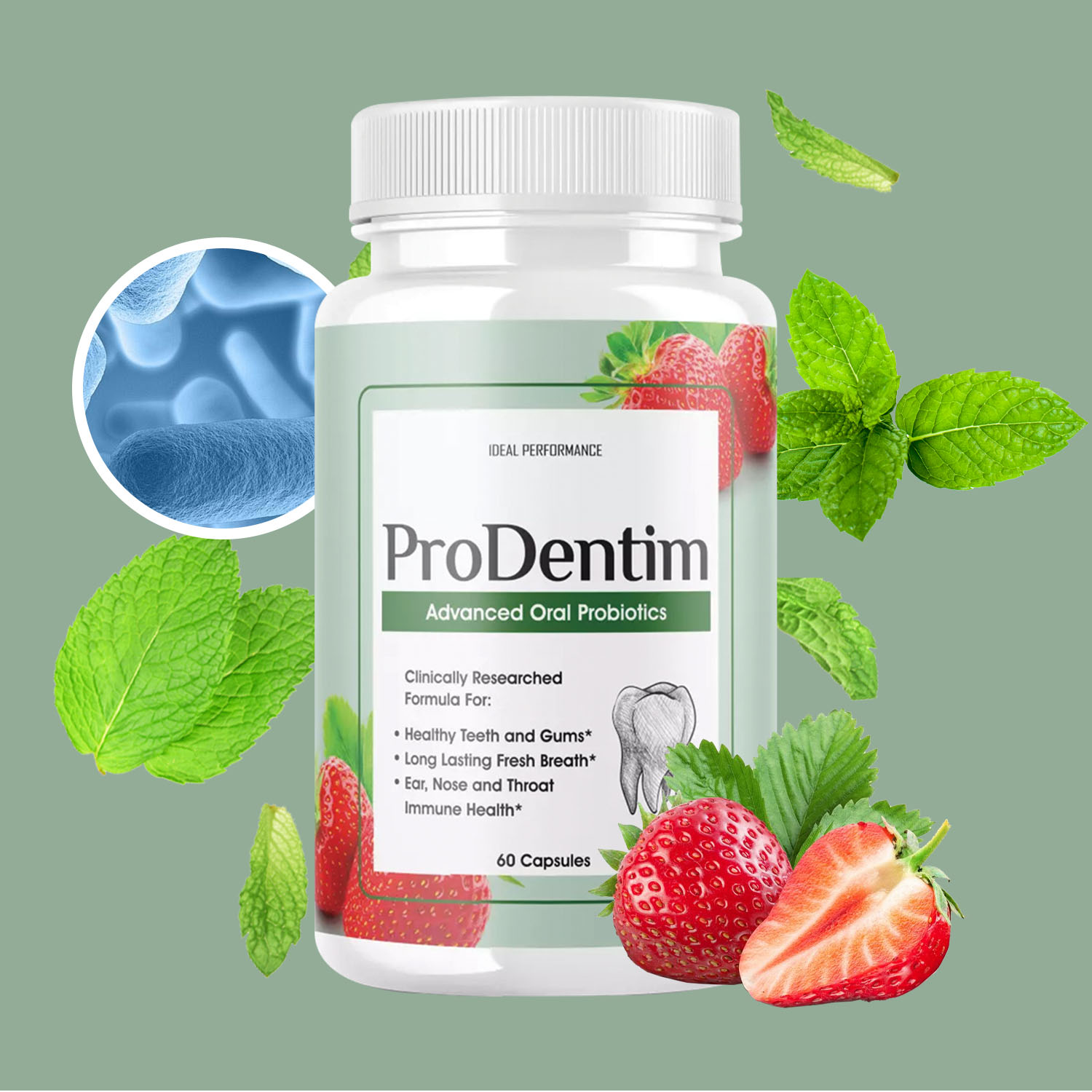 Teeth Whitening Gum - โปรไบโอติกส์ขั้นสูงสำหรับช่องปาก - ทำให้ลมหายใจสดชื่น ฟันขาวขึ้น ส่งเสริมสุขภาพฟันและเหงือก ลดกลิ่นปาก