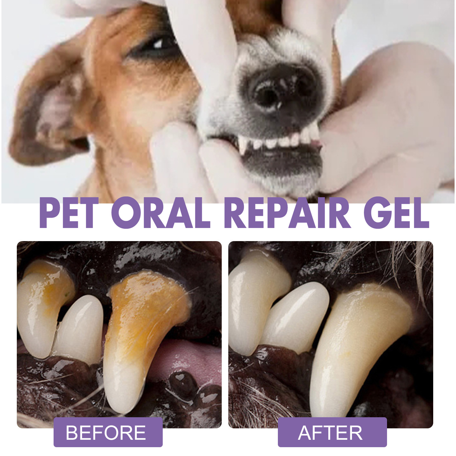 สัตว์เลี้ยง Oral Repair GEL Pu - Teeth Whitening Gum บทวิจารณ์และราคา